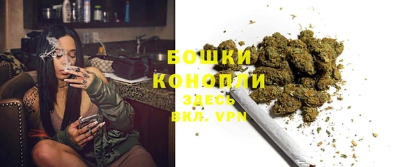 трава Абаза