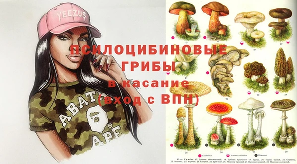 таблы Алзамай