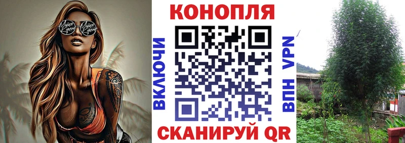 Каннабис семена  Тимашёвск 